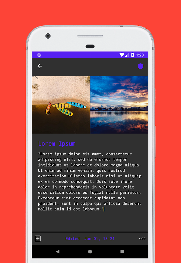 D Notes editor in a dark theme, with two photos above a text note