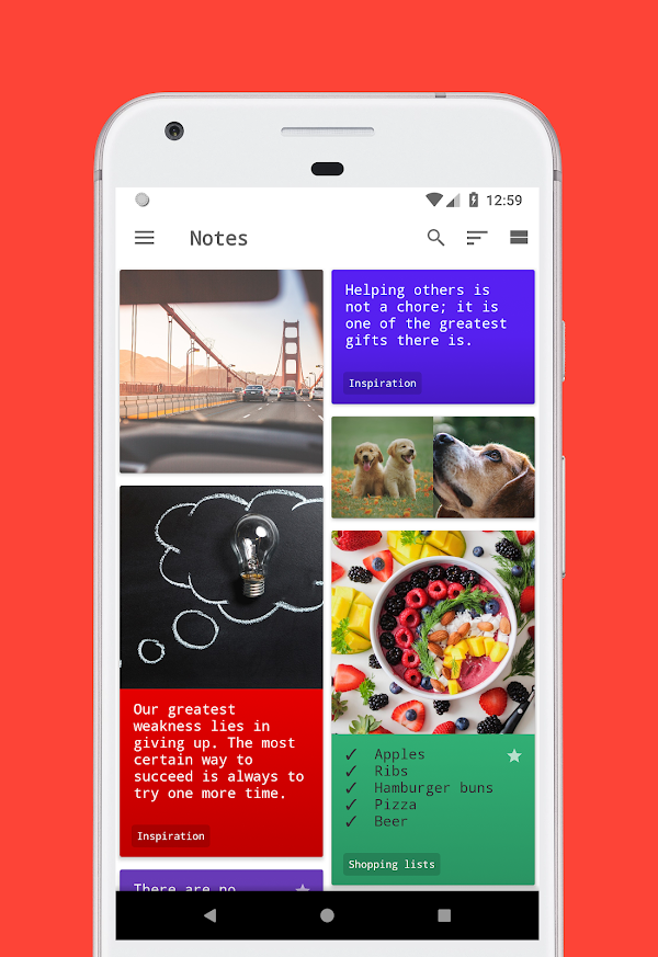 D Notes showing a colourful grid of text notes, photographs, and a shopping checklist